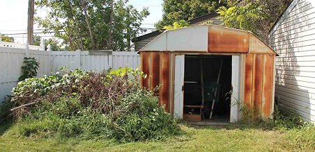 Shed Removal